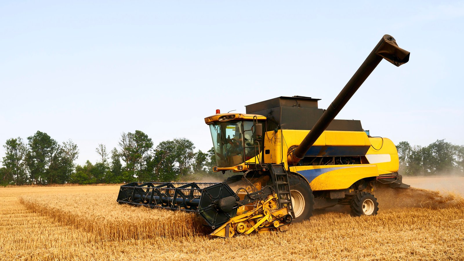 Compra e Venda de Milho